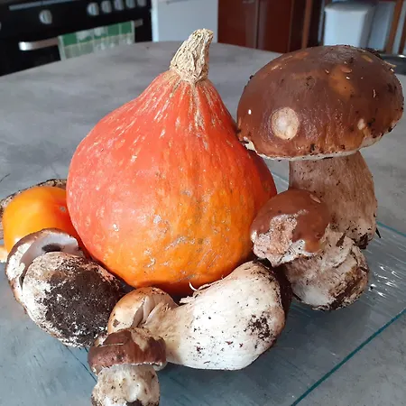 The Originals Access, Clermont-ferrand Nord Châteaugay