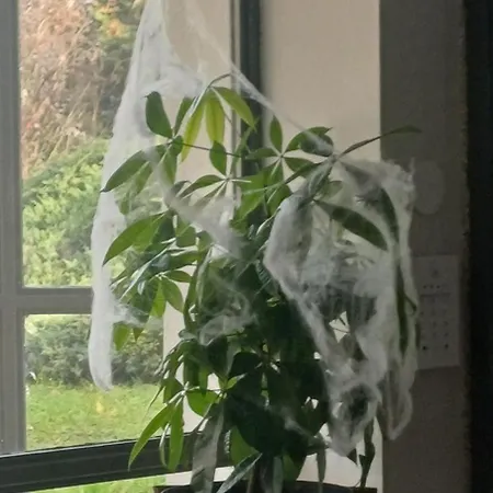 Hotel The Originals Access, Clermont-ferrand Nord