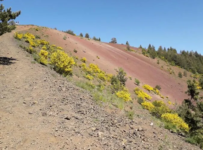 The Originals Access, Clermont-ferrand Nord מלון 2*