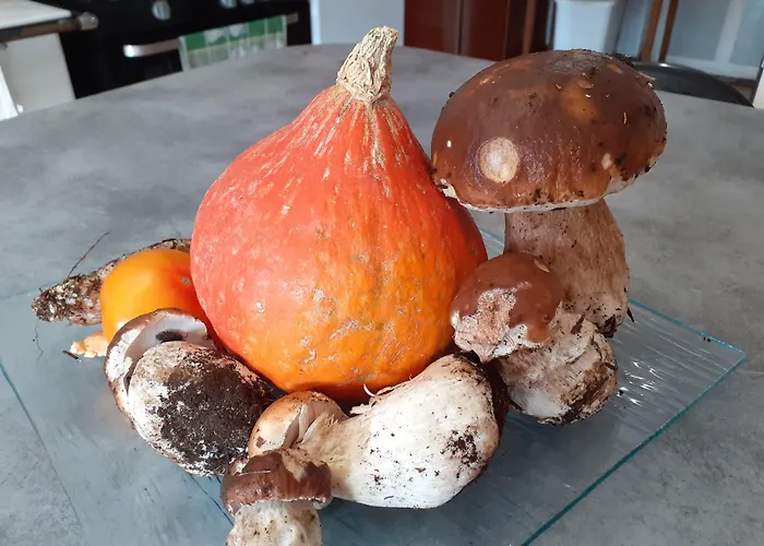 The Originals Access, Clermont-ferrand Nord Châteaugay