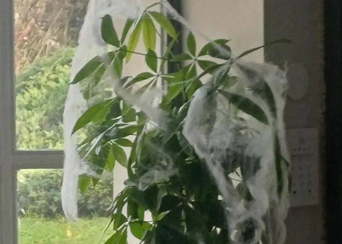 מלון The Originals Access, Clermont-ferrand Nord